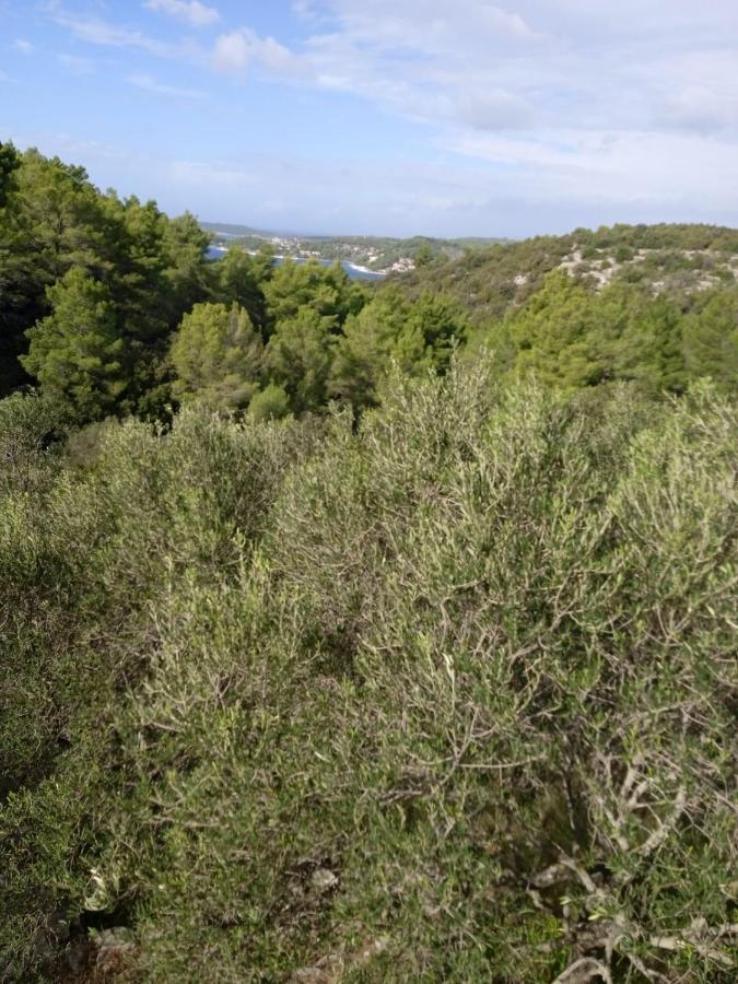 Svema Apartman Vela Luka Exteriér fotografie